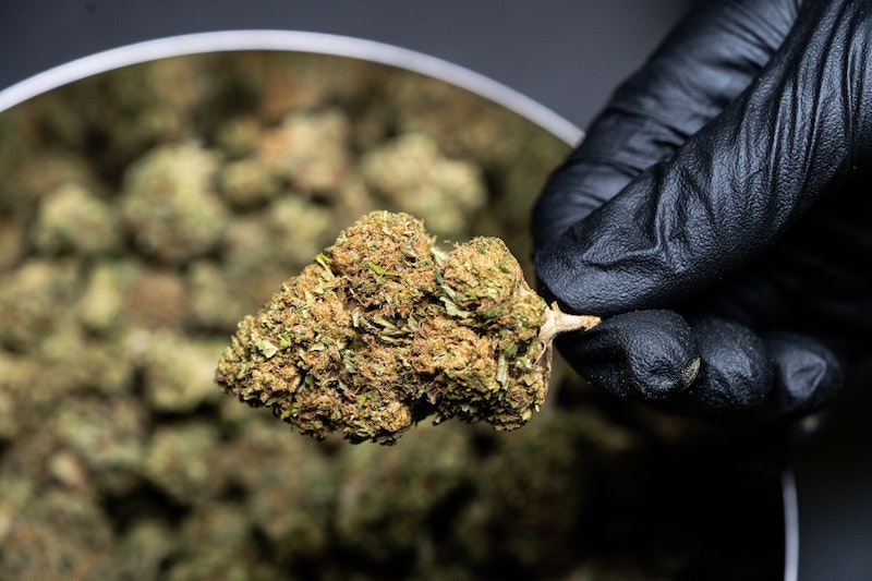 CBD Umfrage: Für wen ist es interessant?