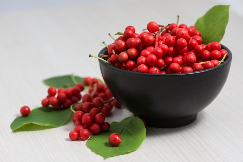 schisandra beere vaay cbd magazin