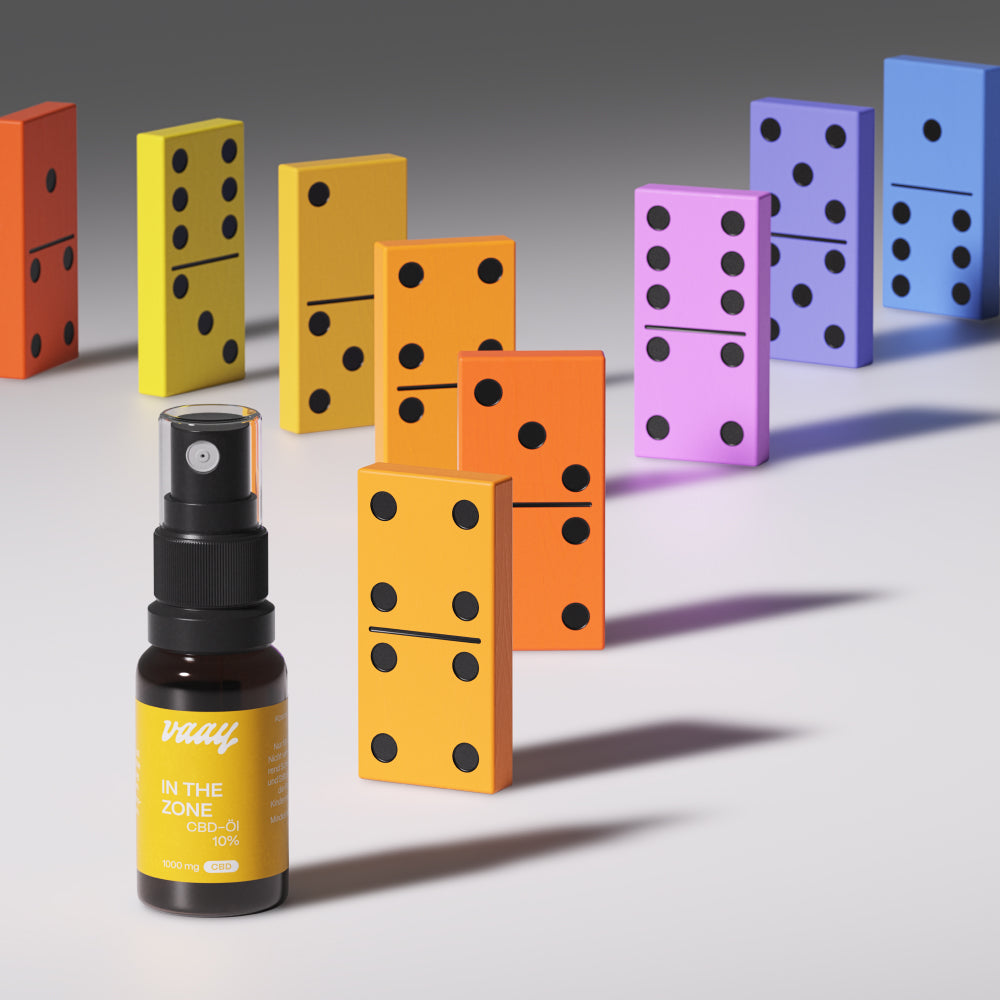 CBD OIL 10% | Natural Terpenes 10 | 1.000 mg
