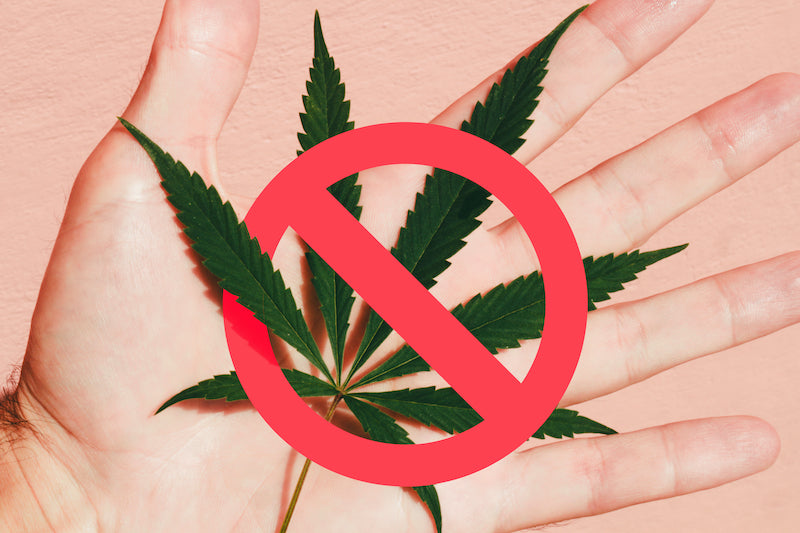 Cannabis-Verbot Hintergründe VAAY Blog Headimage