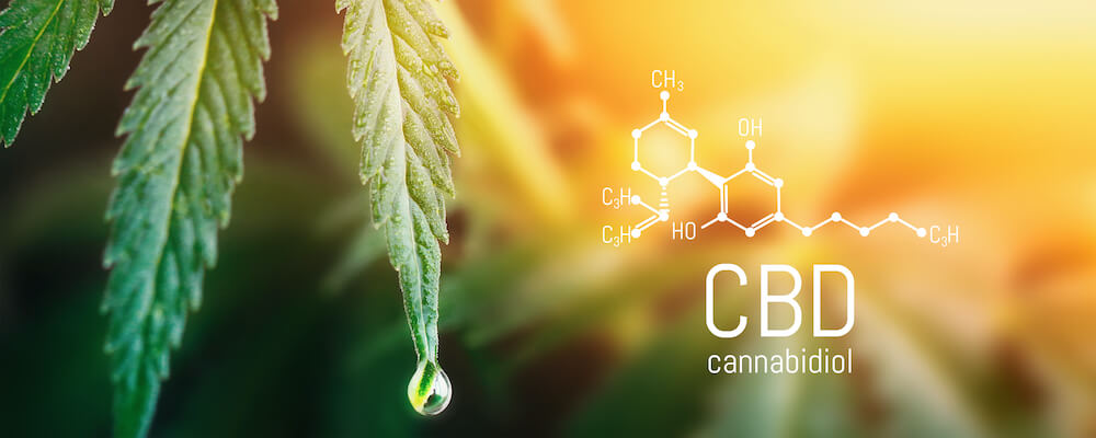 Was ist CBD cannabidiol vaay cbd101